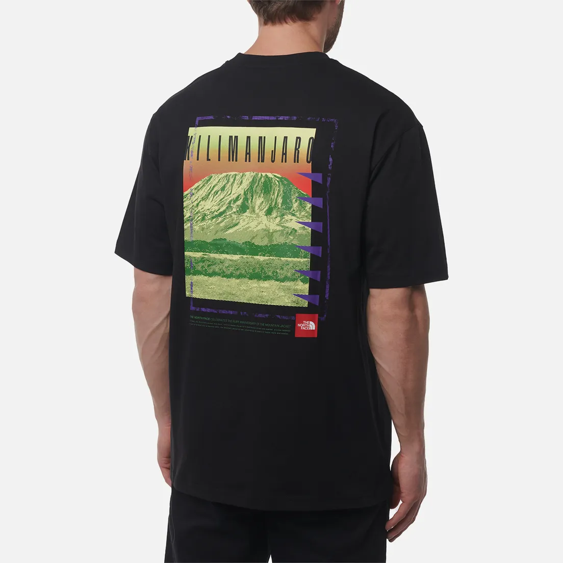 The North Face Мужская футболка Axys Oversized